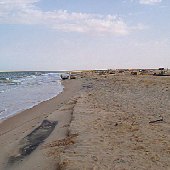 2009-03 Mauritania: desiertos llenos de vida